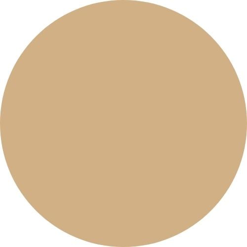 RAL 1001 BEIGE