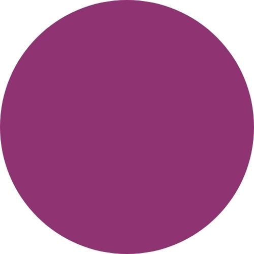 RAL 4006 TRAFFIC PURPLE