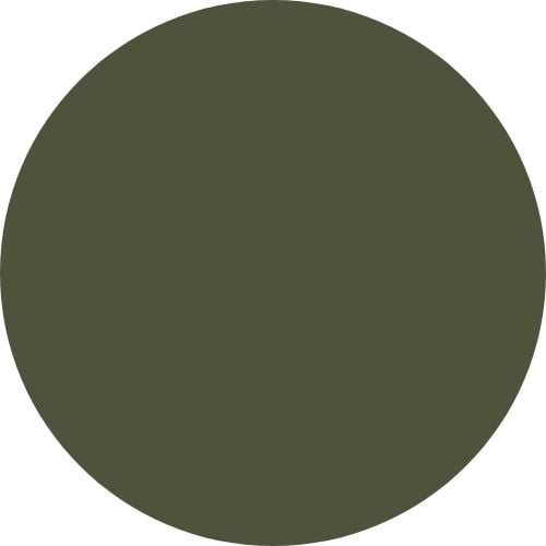 RAL 6003 OLIVE GREEN