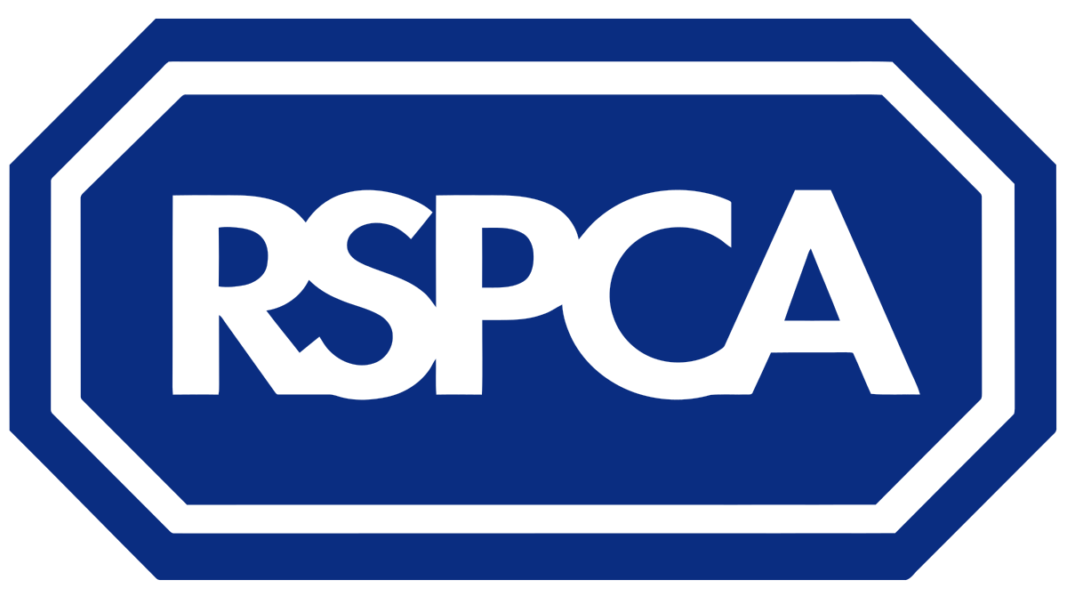 Bring and buy cake stall raises £130 for RSPCA
