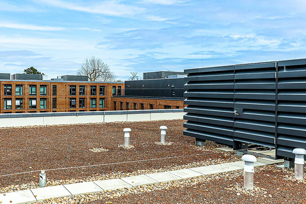 Maple strengthen commitment to the Modular Construction sector