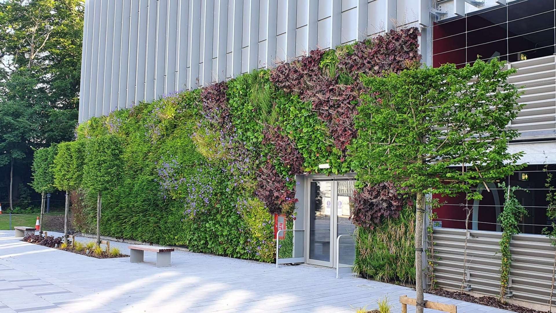 GLASSHOUSE 1920 x 1080 px (4)