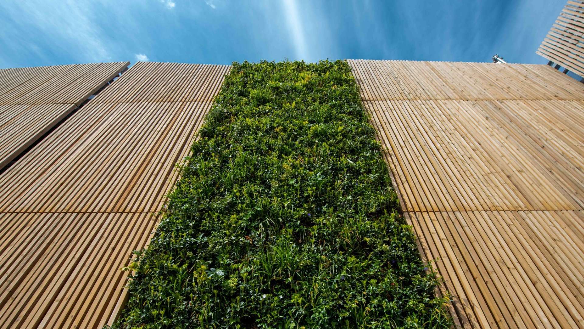 The Christie 1920 x 1080 px (1)