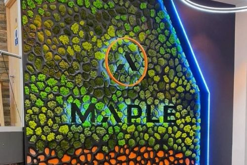 Maple demonstrate social value capabilities with Constructionline response 