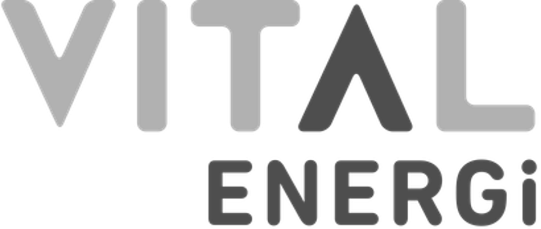 Vital Energi Logo
