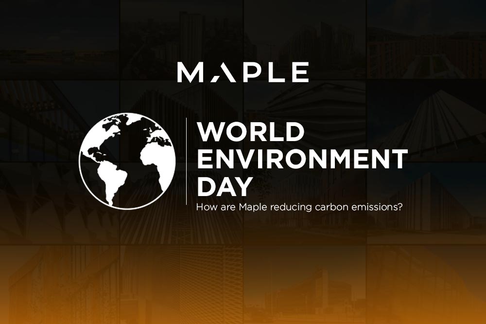 Celebrating World Environment Day... every day